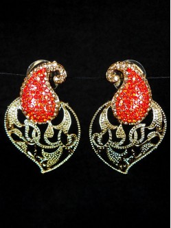 Fashion Earrings